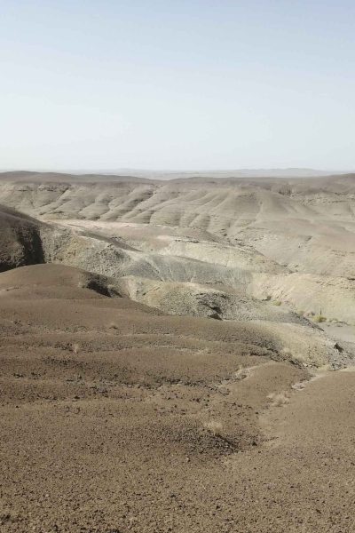 image8